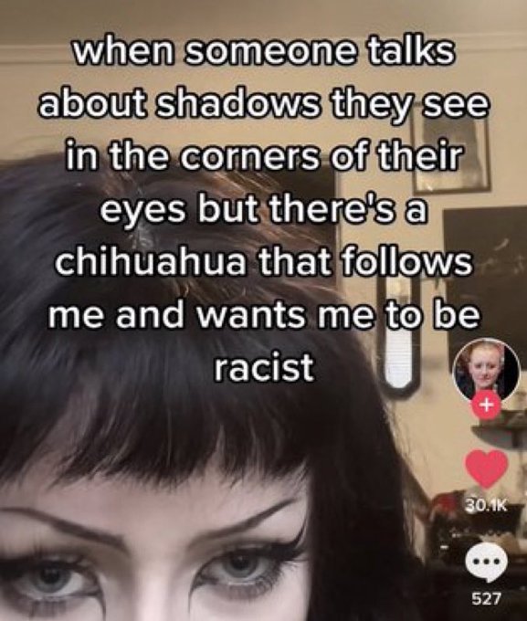 Unhinged TikTok Screenshots