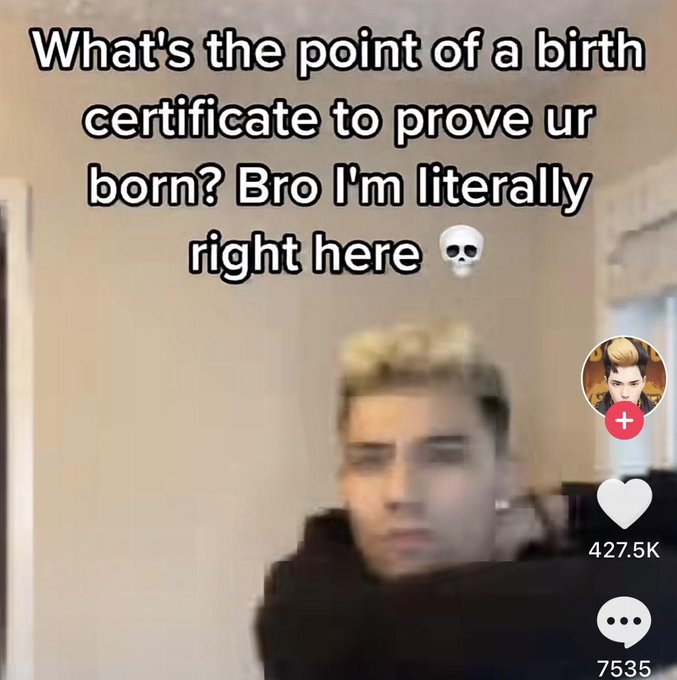 Unhinged TikTok Screenshots