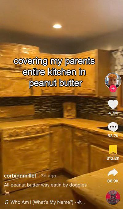 Unhinged TikTok Screenshots