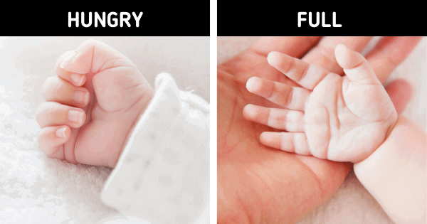 Understanding Your Baby