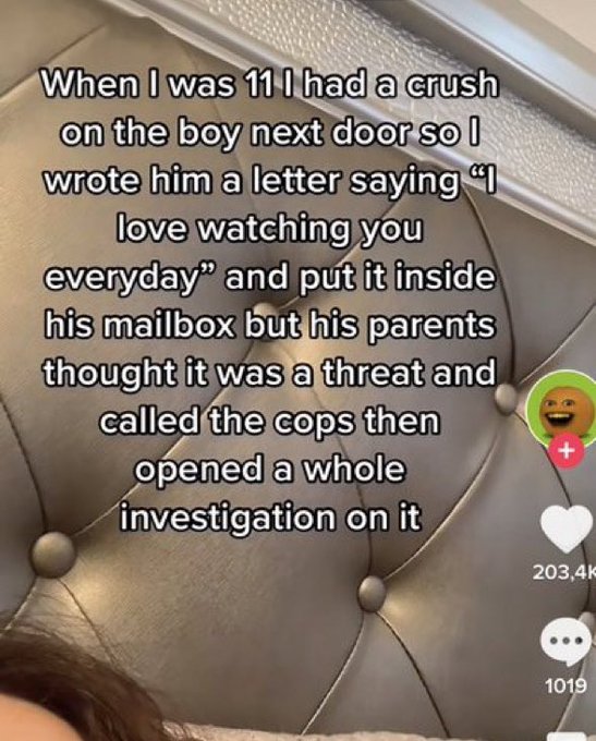 Unhinged TikTok Screenshots