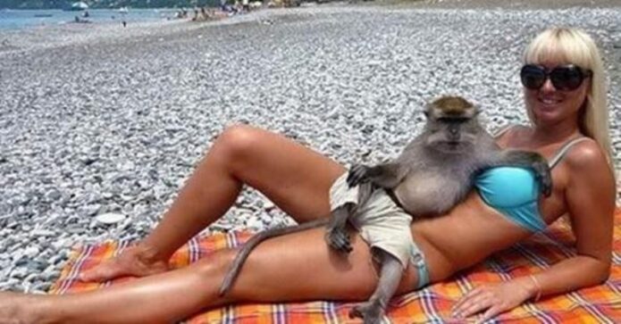 Beach Fails