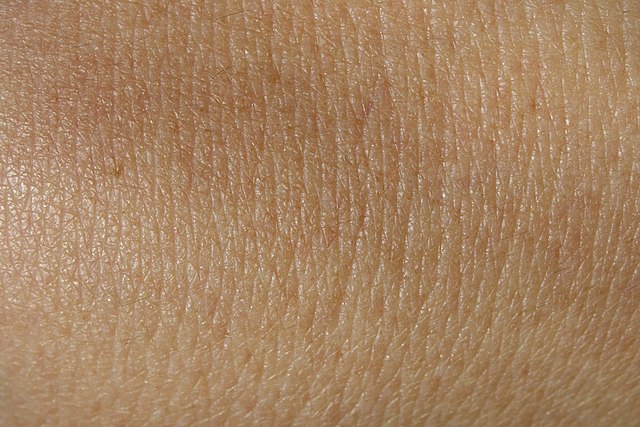 Hidden Revelations of the Human Body