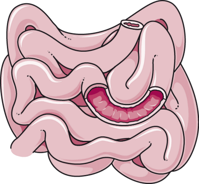 Hidden Revelations of the Human Body