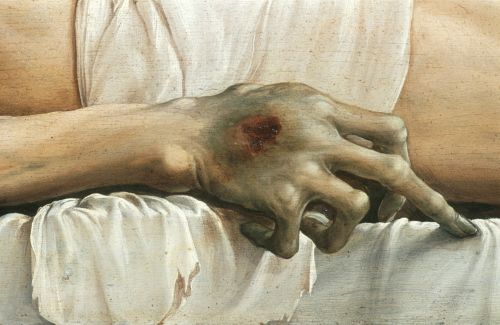 Hidden Revelations of the Human Body