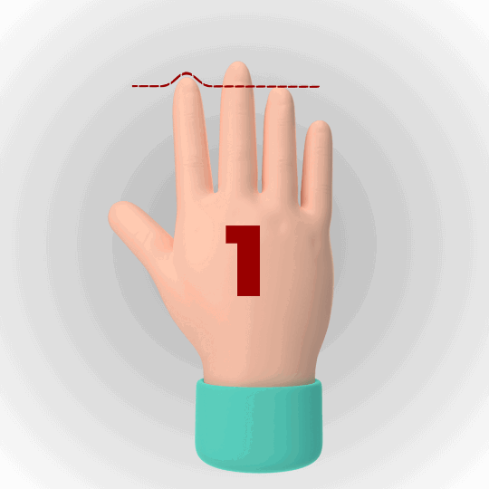 Index Finger Length