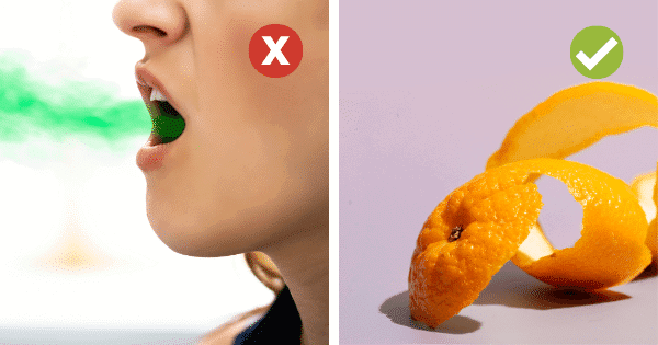 Mouth Bacteria