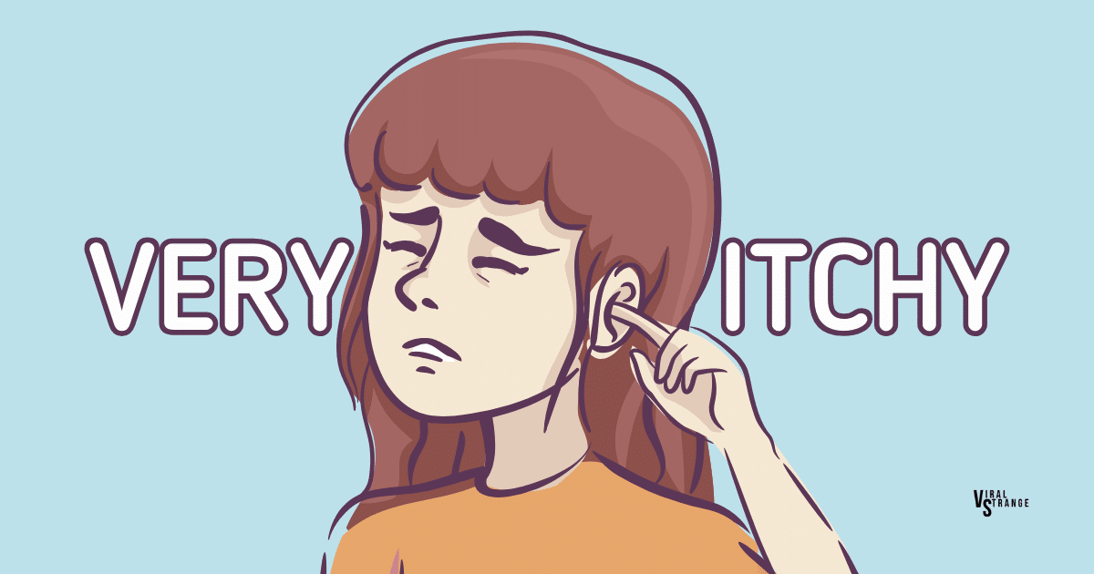 Ear Infection