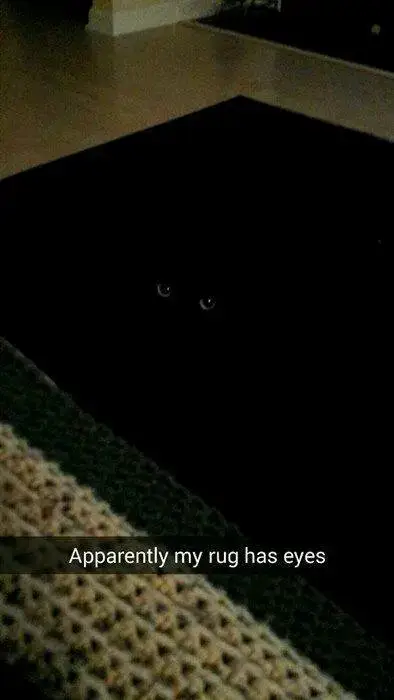 Pet Snaps