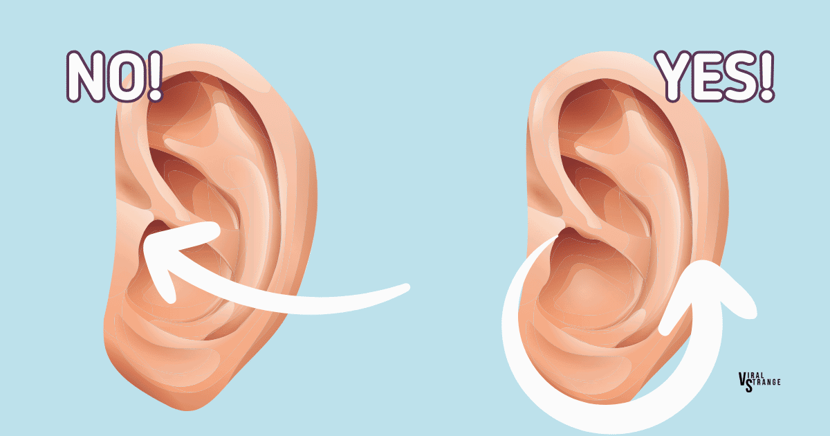 Ears