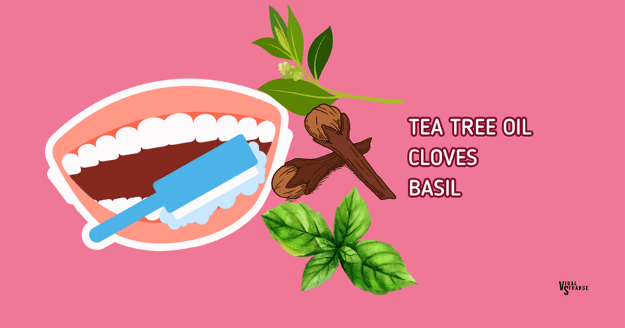 cloves