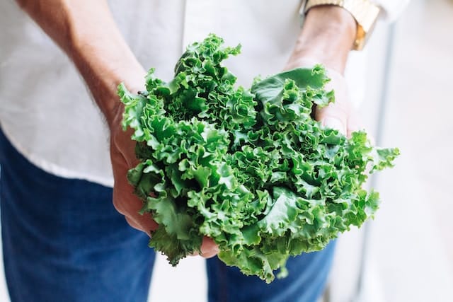 Vitamin K2