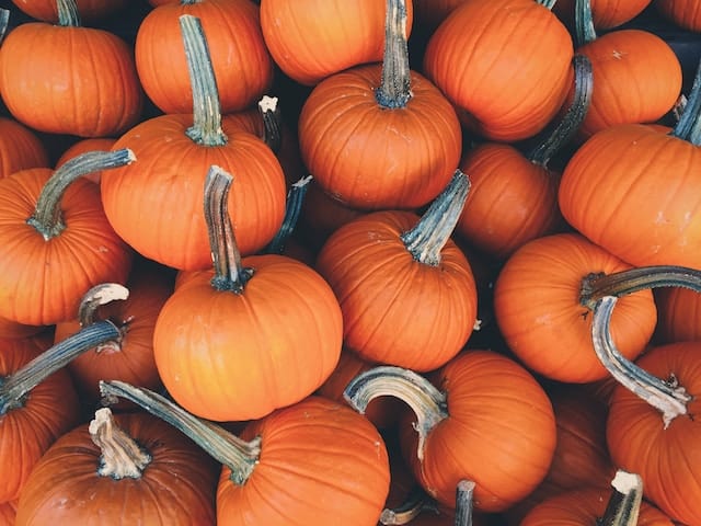 Pumpkin Seeds
