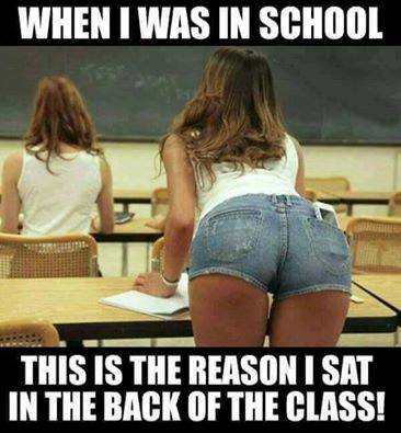 Adult Life Memes