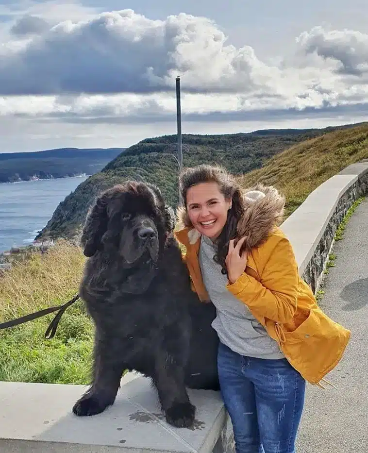 Dog Encounters