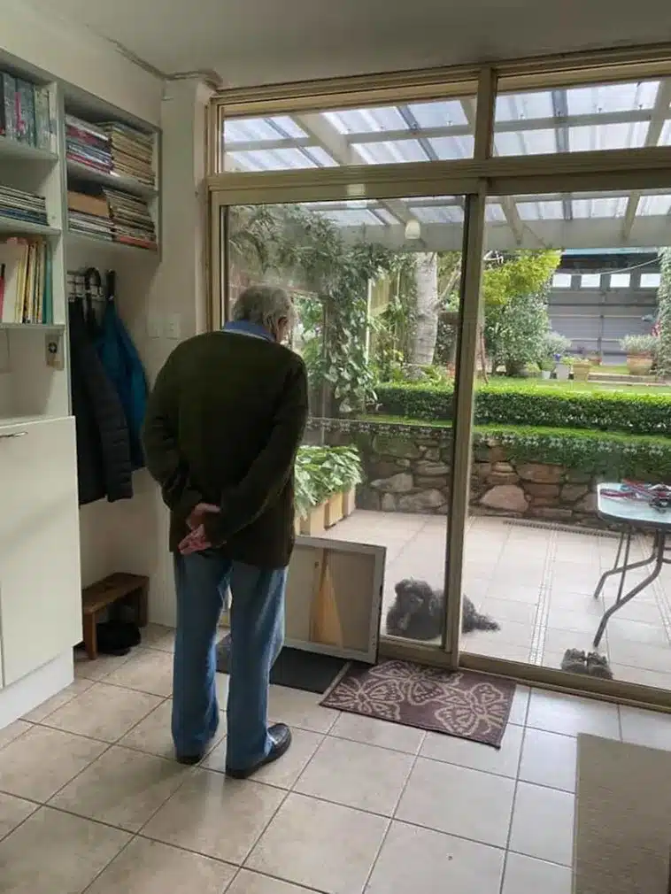 Dog Encounters