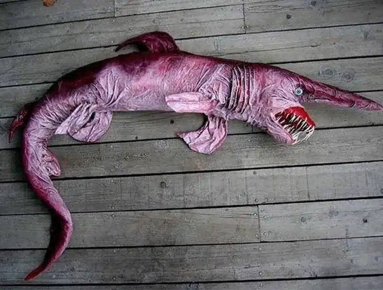 Strange Animals