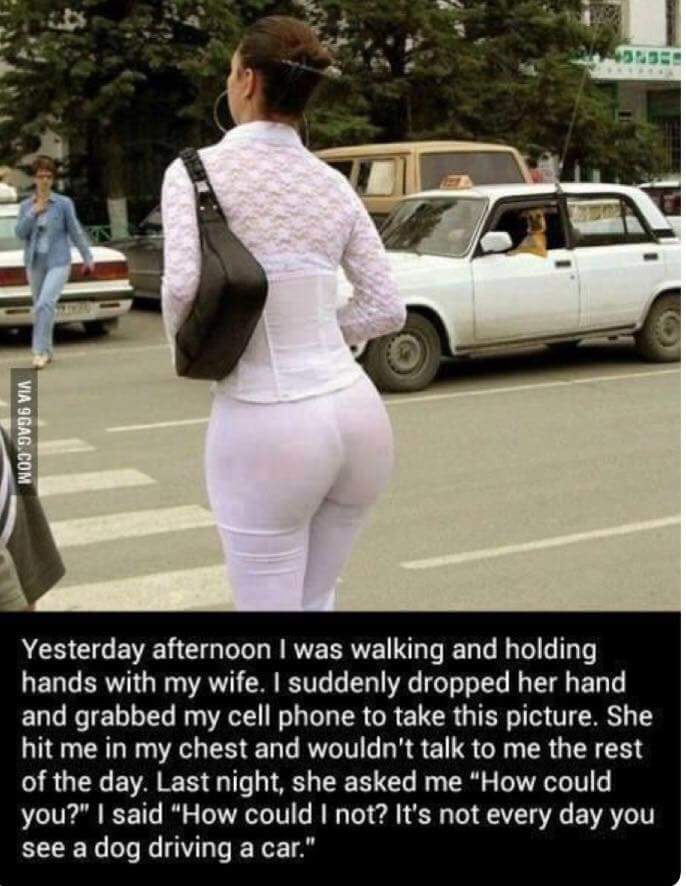 Adult Life Memes
