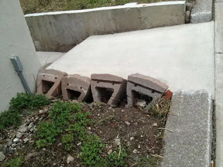 Pareidolia
