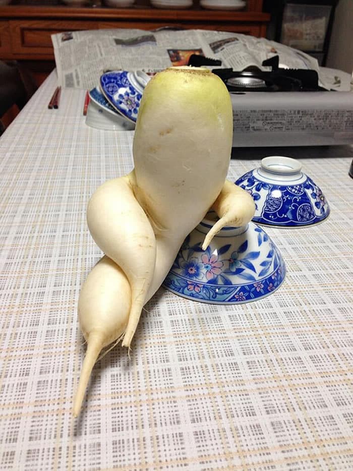 Oddly Shaped