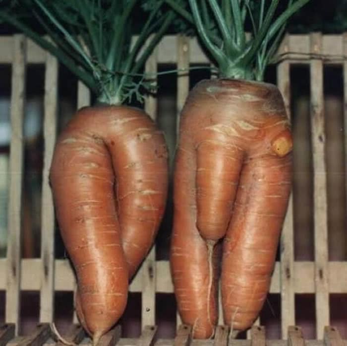 Oddly Shaped