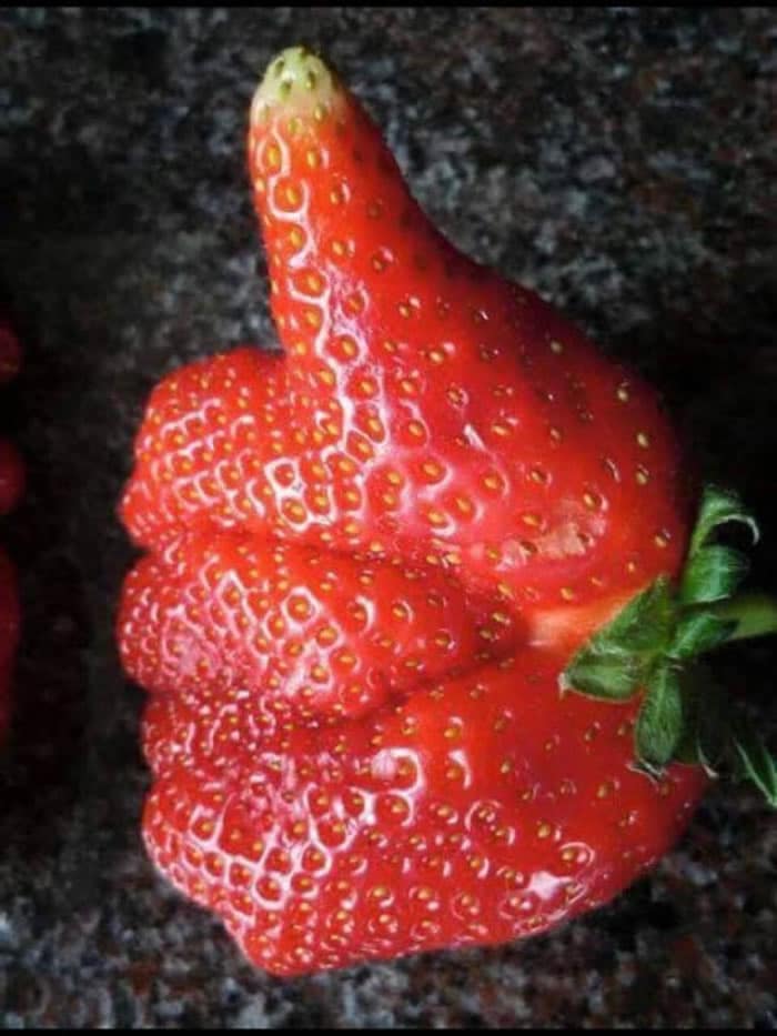 Oddly Shaped