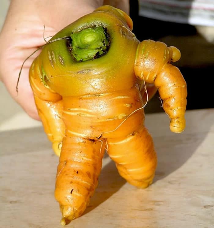Oddly Shaped