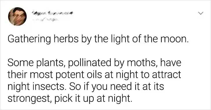 Old Wives' Tale