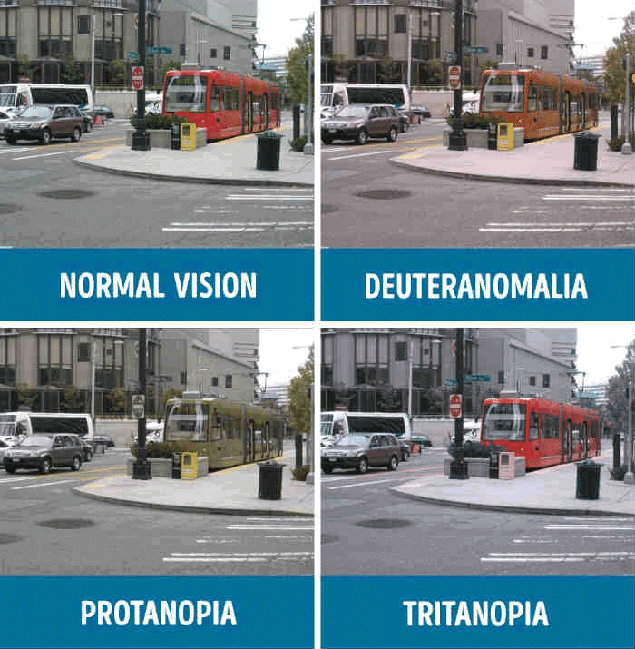 Color Vision