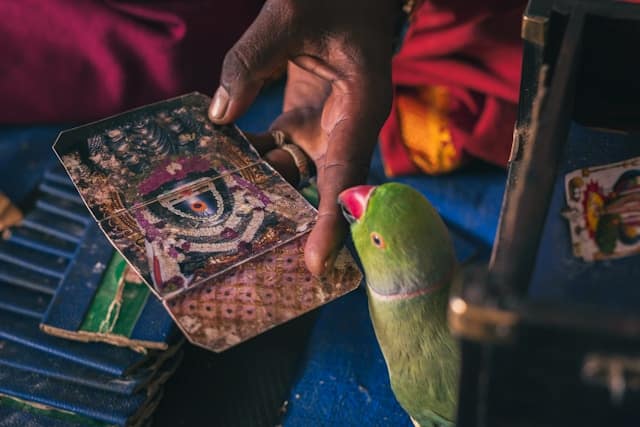 Fortune Teller