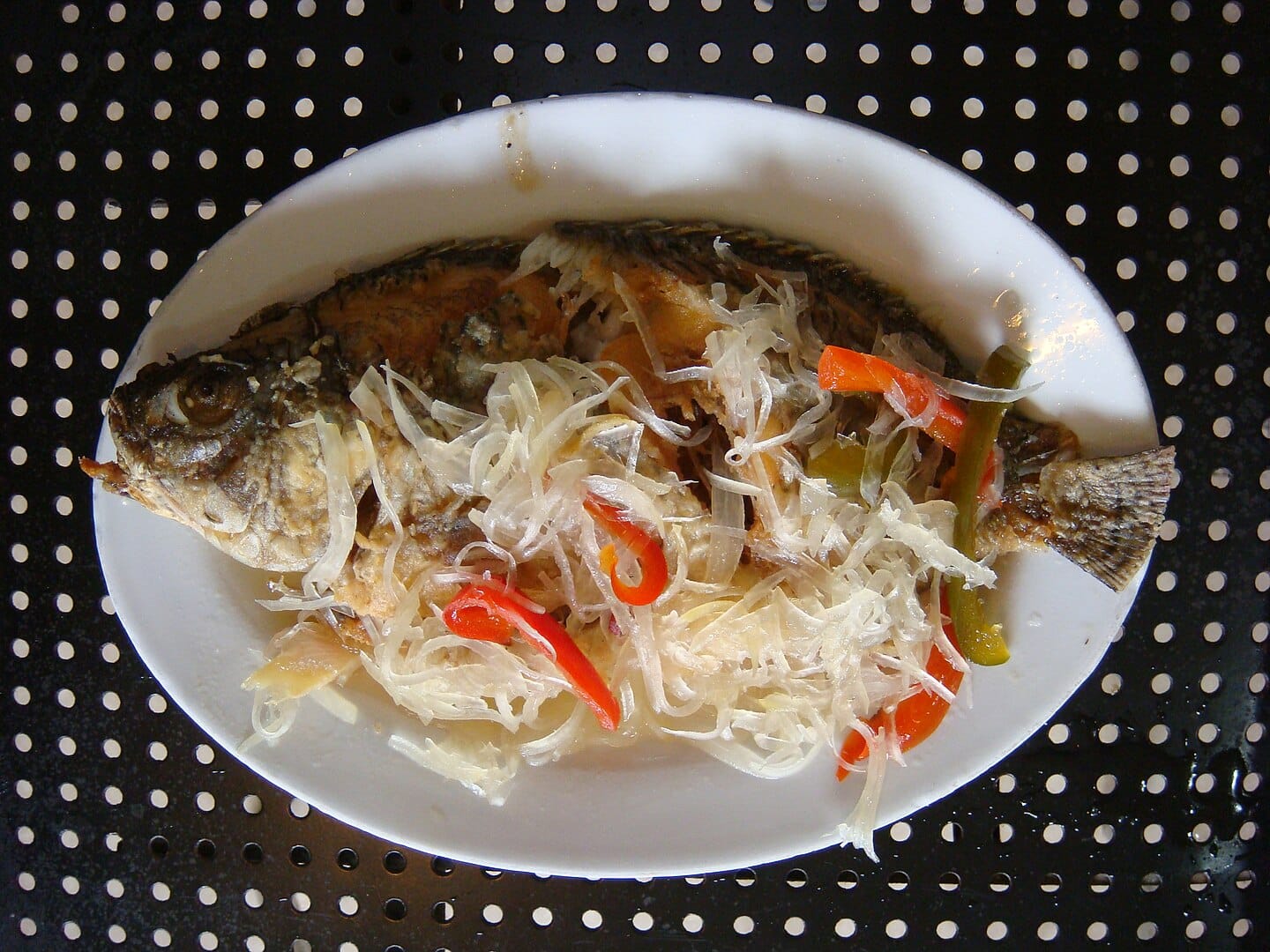 Tilapia