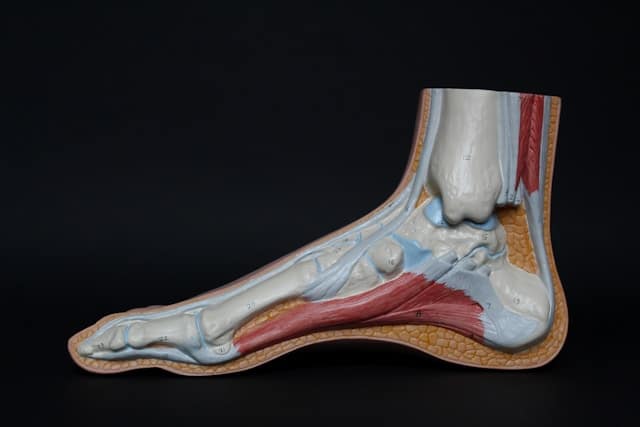 Foot Symptoms