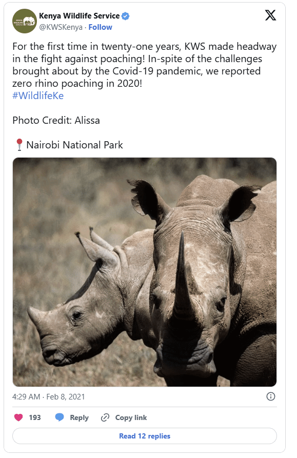 Rhino Poachers