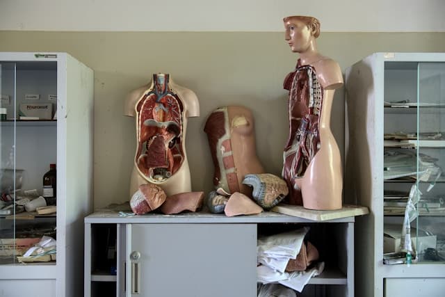 Fatty Liver Disease