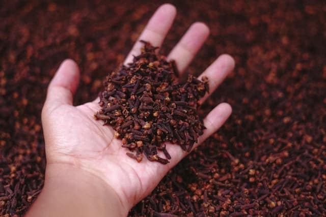 Chai Spices