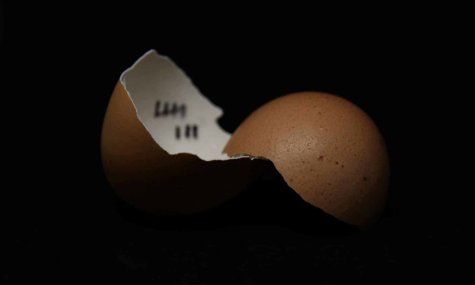 Eggshells