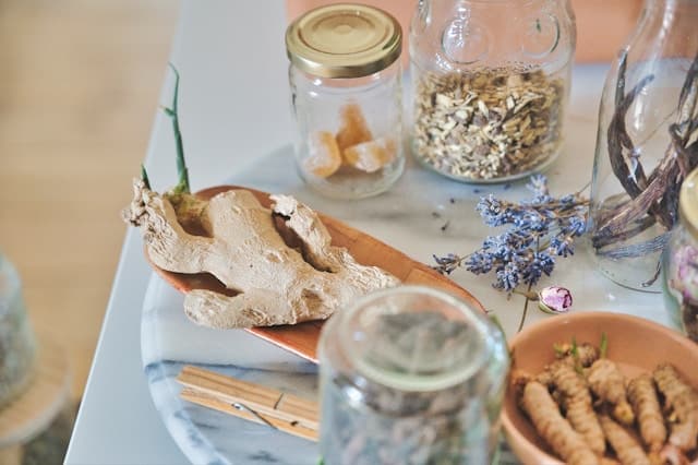 Gut Health