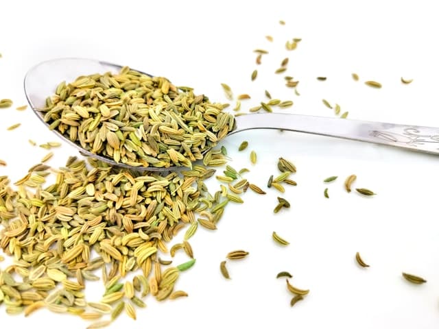 Gut Health