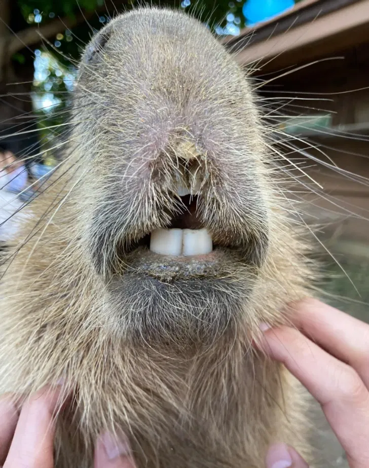 Strange Coincidences