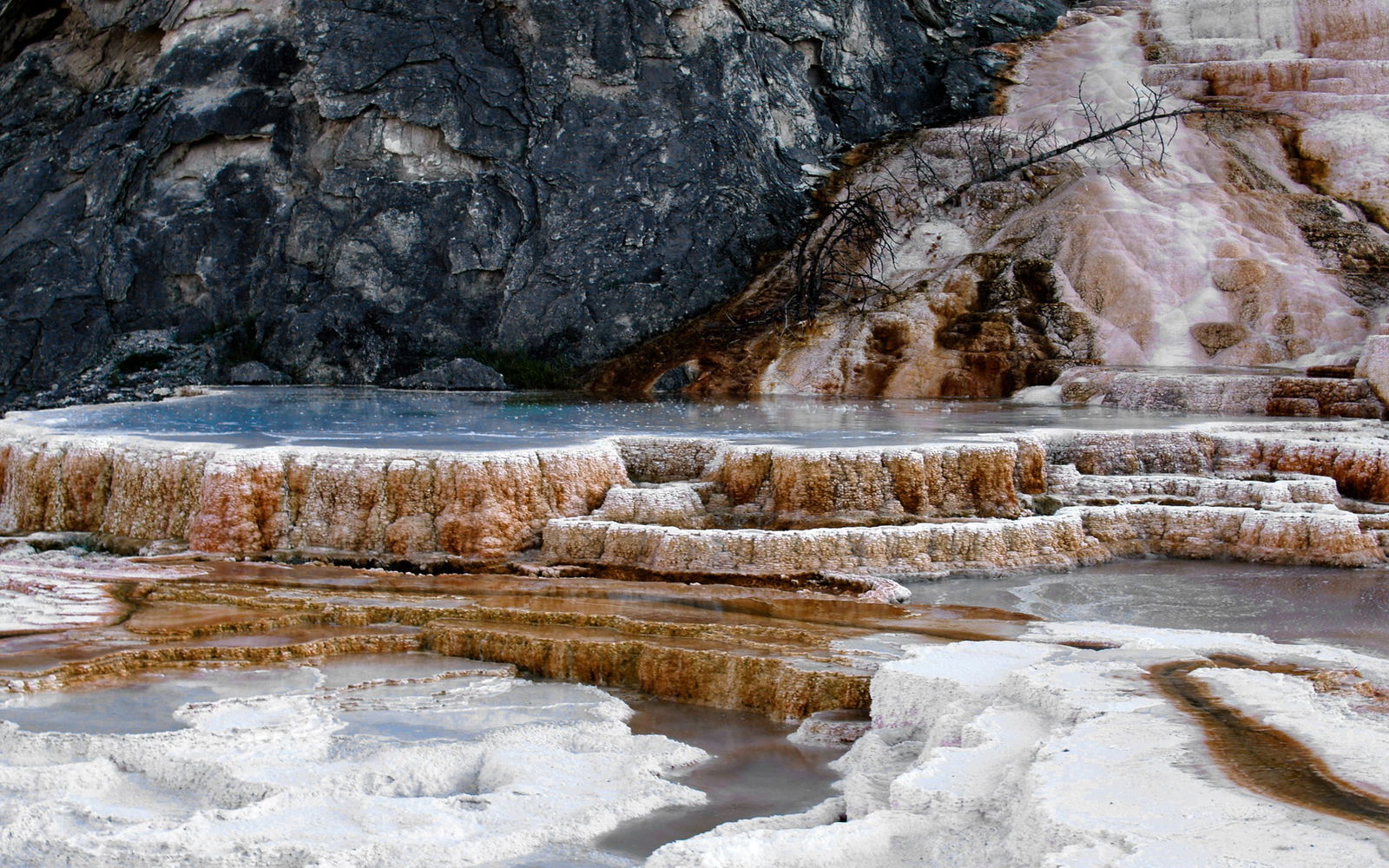 Yellowstone