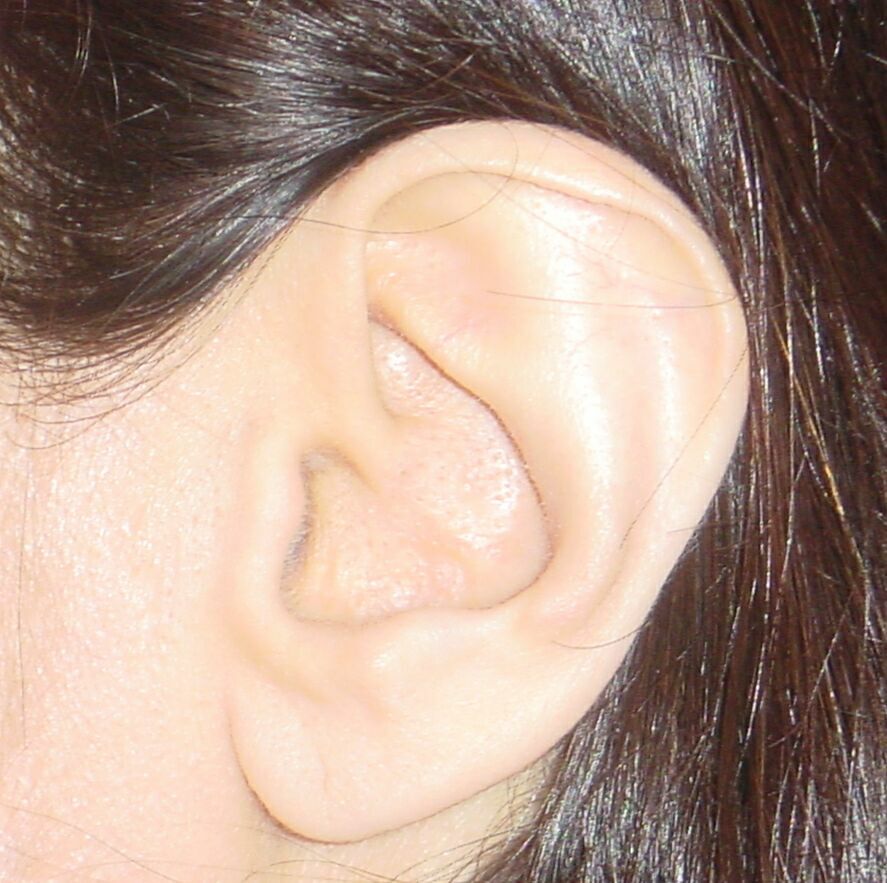 ear health
