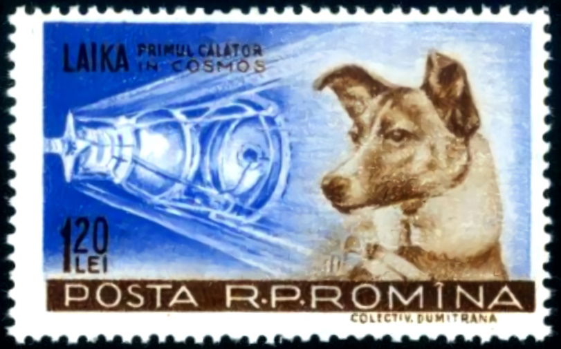 Laika